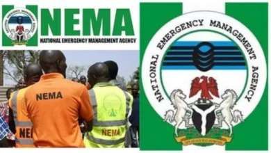 Photo of National Emergency Management Agency (NEMA) Organises Reception for Nigerian Returnees from Niamey, Niger Republic
